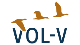 logo vol-v