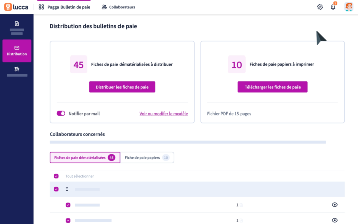 solution-pagga-bulletin-de-paie-distribution